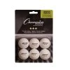Champion Ping Pong Ball- Tournament 6 Pack