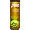 Outdoor Fun Penn Tour Extra Duty Tennis Balls 1 Outdoor Fun Penn Tour Extra Duty Tennis Balls