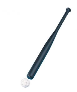 Champion Wiffle Bat & Ball Combo